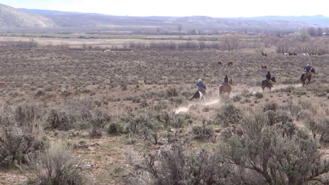 05 05-2013 Early Morning Round up Sombrero Ranch Horse Drive ... Maybell Co.