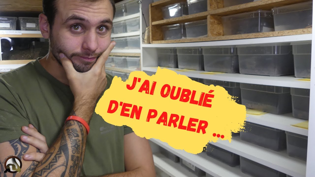 OUPS !!!!! J'ai TOTALEMENT OUBLIÉ de vous en parler ...