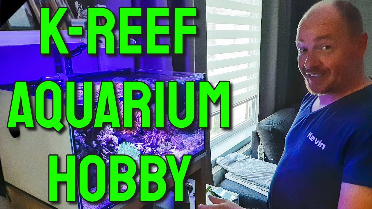 ZOUTWATER AQUARIUM - Expert aan het woord // K-Reef Aquarium Hobby. | Aquarium Sunshine Valley