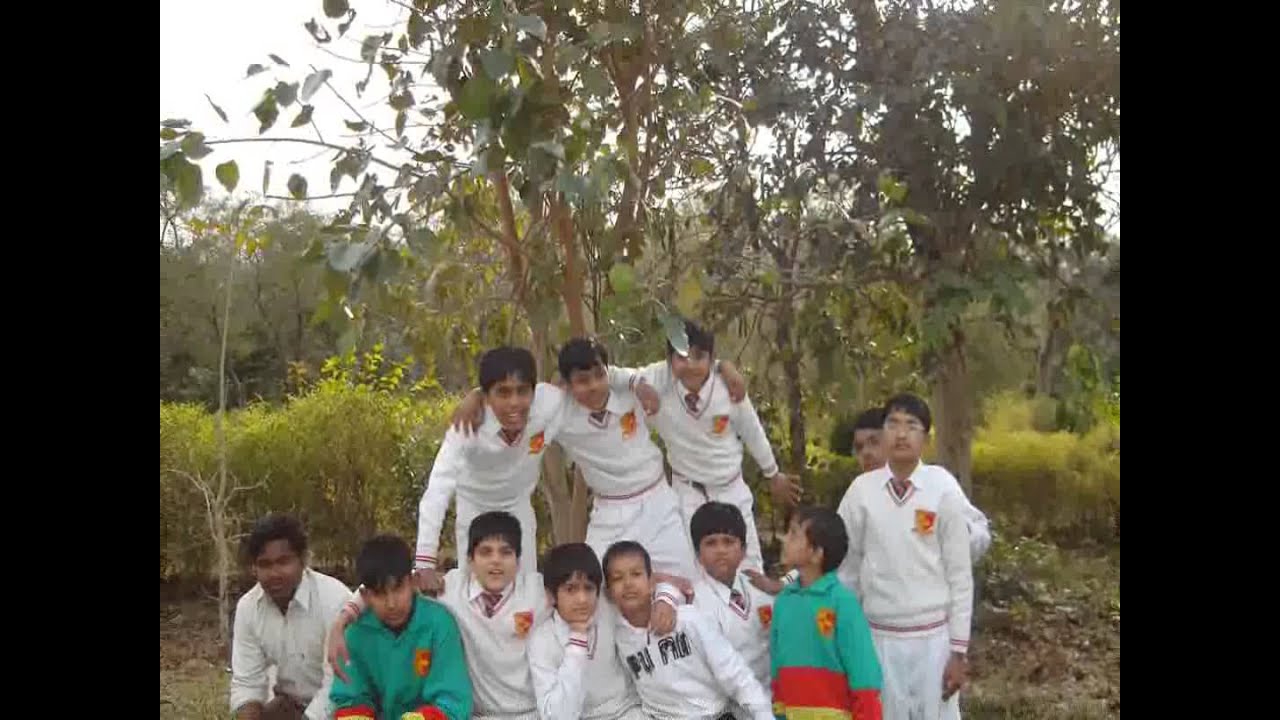 Alpine School Introduction
