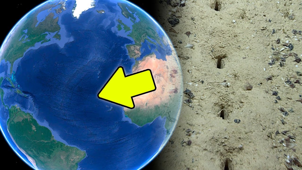 Seltsame L&Ouml;CHER Im Atlantik Verbl&uuml;ffen Experten