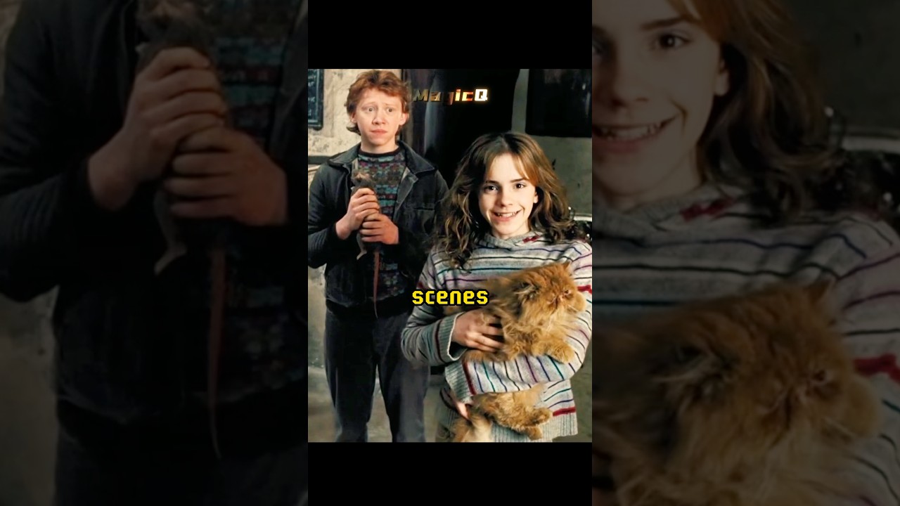 Fun behind the scenes stories from Harry Potter #harrypotter #harrypotterfan
