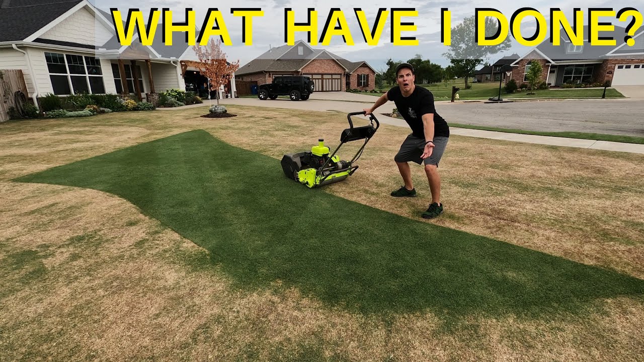 Could YOUR Lawn Recover From THIS?!?