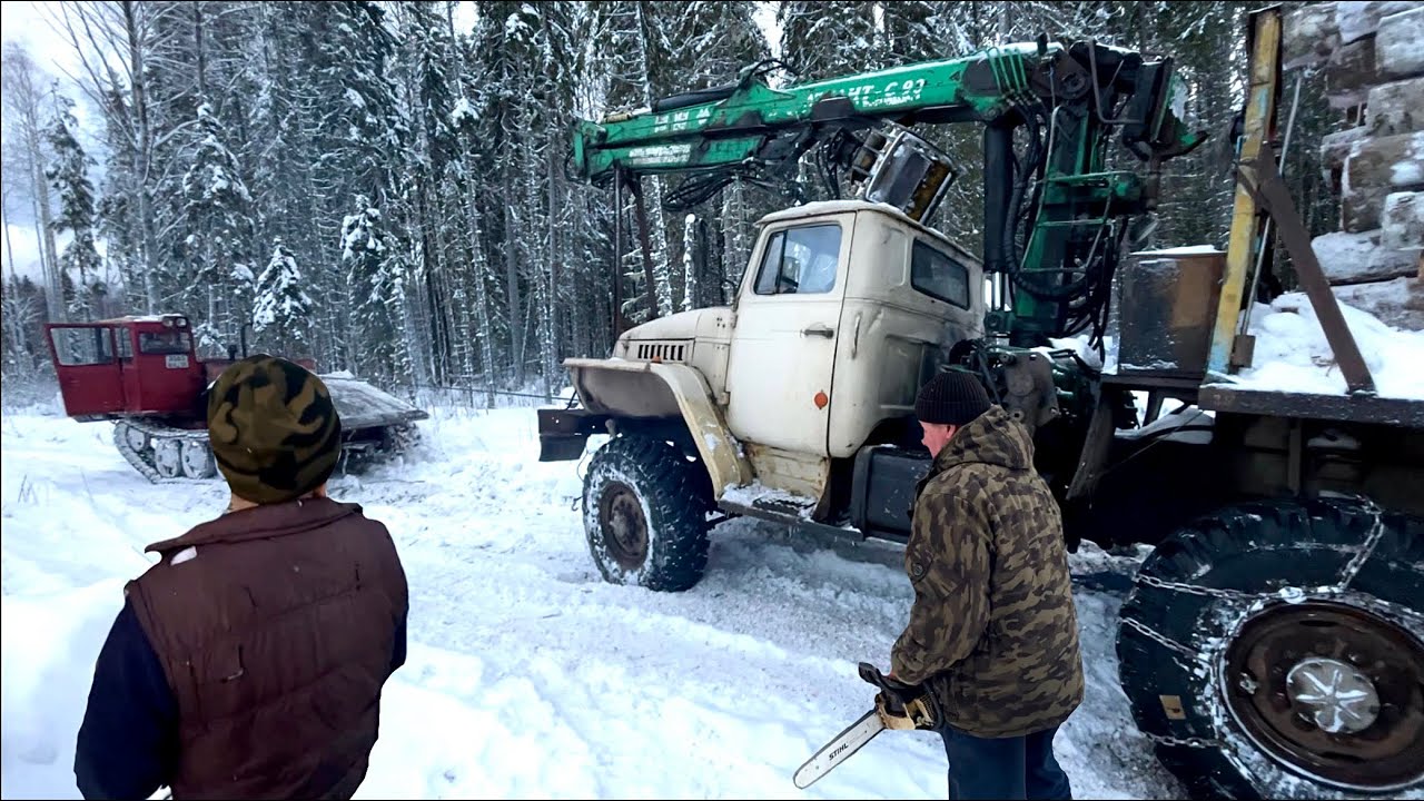 Трудности ВЫВОЗА ЛЕСА из Новой Делянки! Лесовоз Урал едва справляется! ТДТ 55 в Помощь!