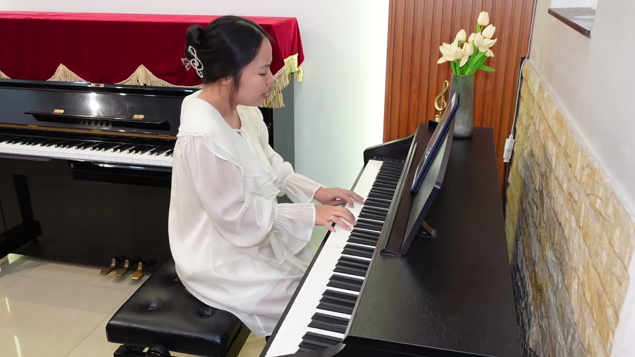 Cơn mưa băng giá || Piano đệm hát || TD Music
