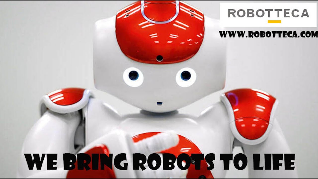 🤖 "Nao Robot with Zora: Human-Robot Harmony ft. Robotteca!" 🌐✨