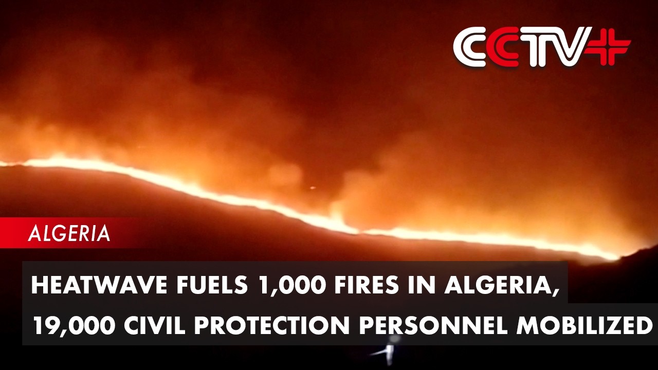 Heatwave Fuels 1,000 Fires in Algeria, 19,000 Civil Protection Personnel Mobilized