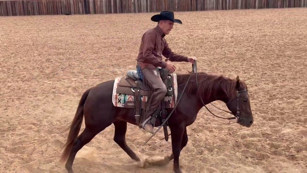 Horsemanship with Richard Winters