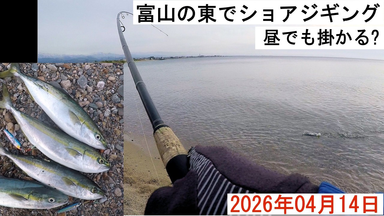 2026年04月14日 富山の東でショアジギング　昼でも掛かる?