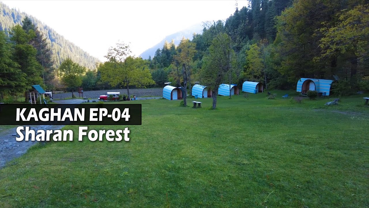 Sharan forest & waterfall | Kaghan