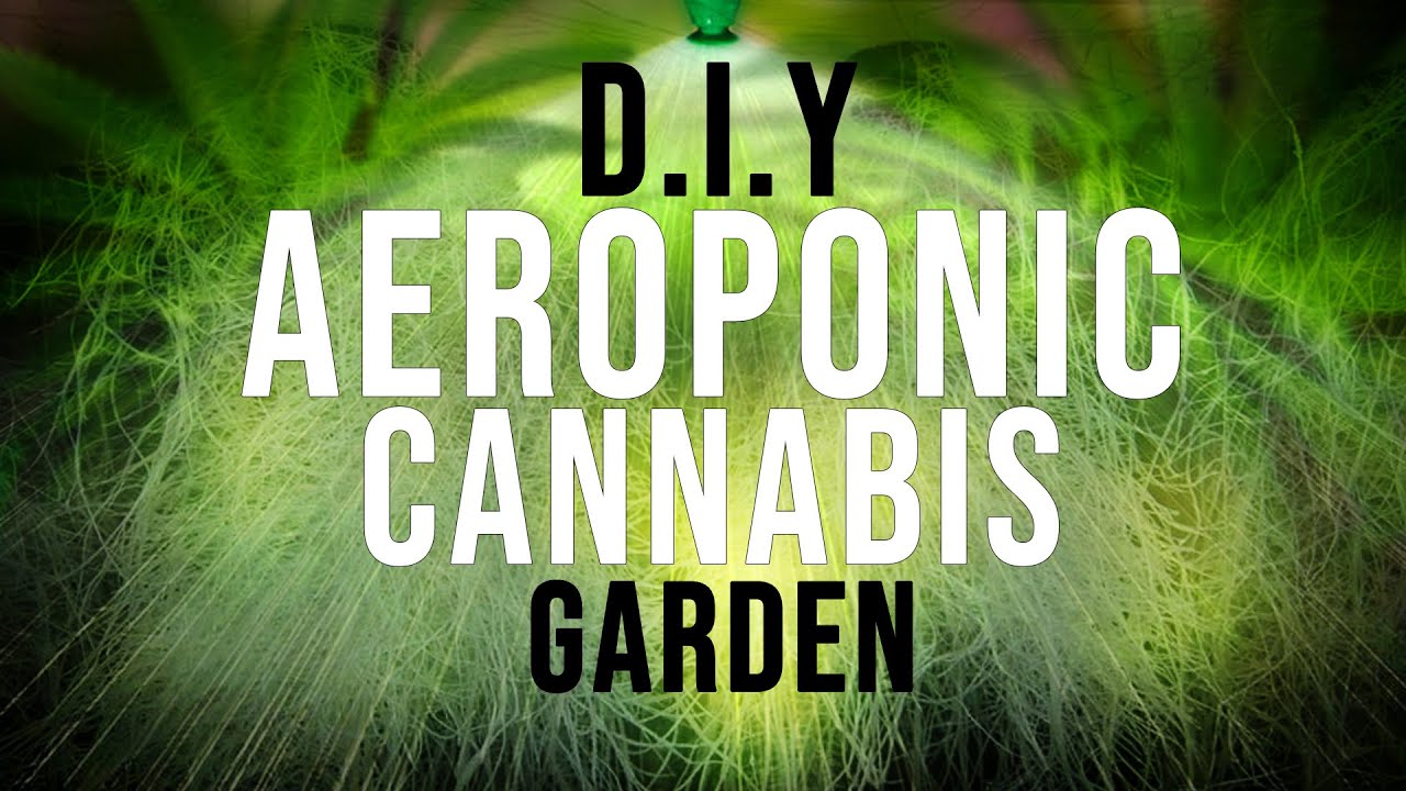 I Show You How To Build An Inexpensive, Simple Aeroponic Cannabis Garden