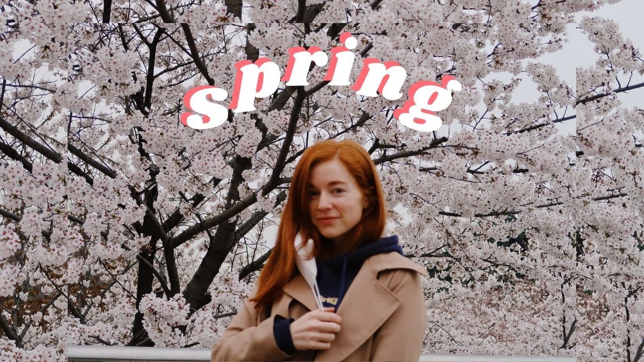 spring things in seoul, korea | rice cooker, cherry blossoms, picnic vlog