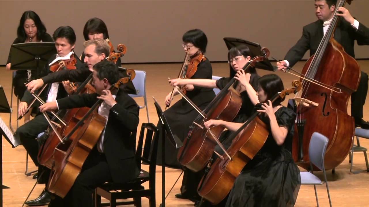 Mozart Symphony No.29 by Christoph Koncz (2014 LIVE)