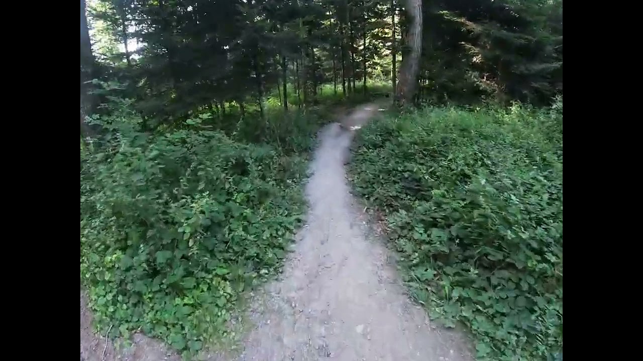 MTB Trail Bäreriedwald Münchenbuchsee 28/07/2024