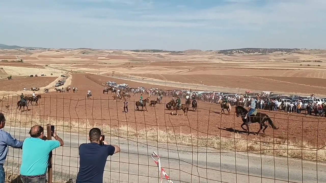 4 de octubre de 2025