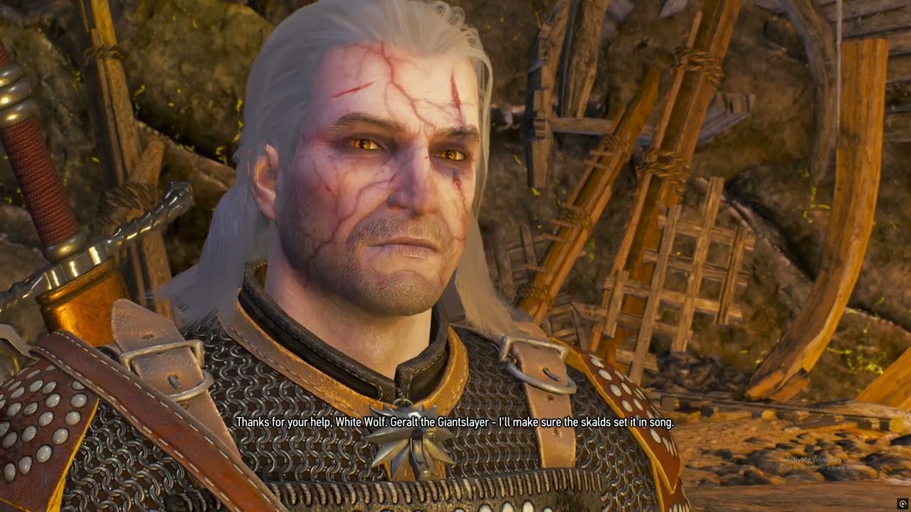 The Witcher 3: Wild Hunt | Gameplay Part 33