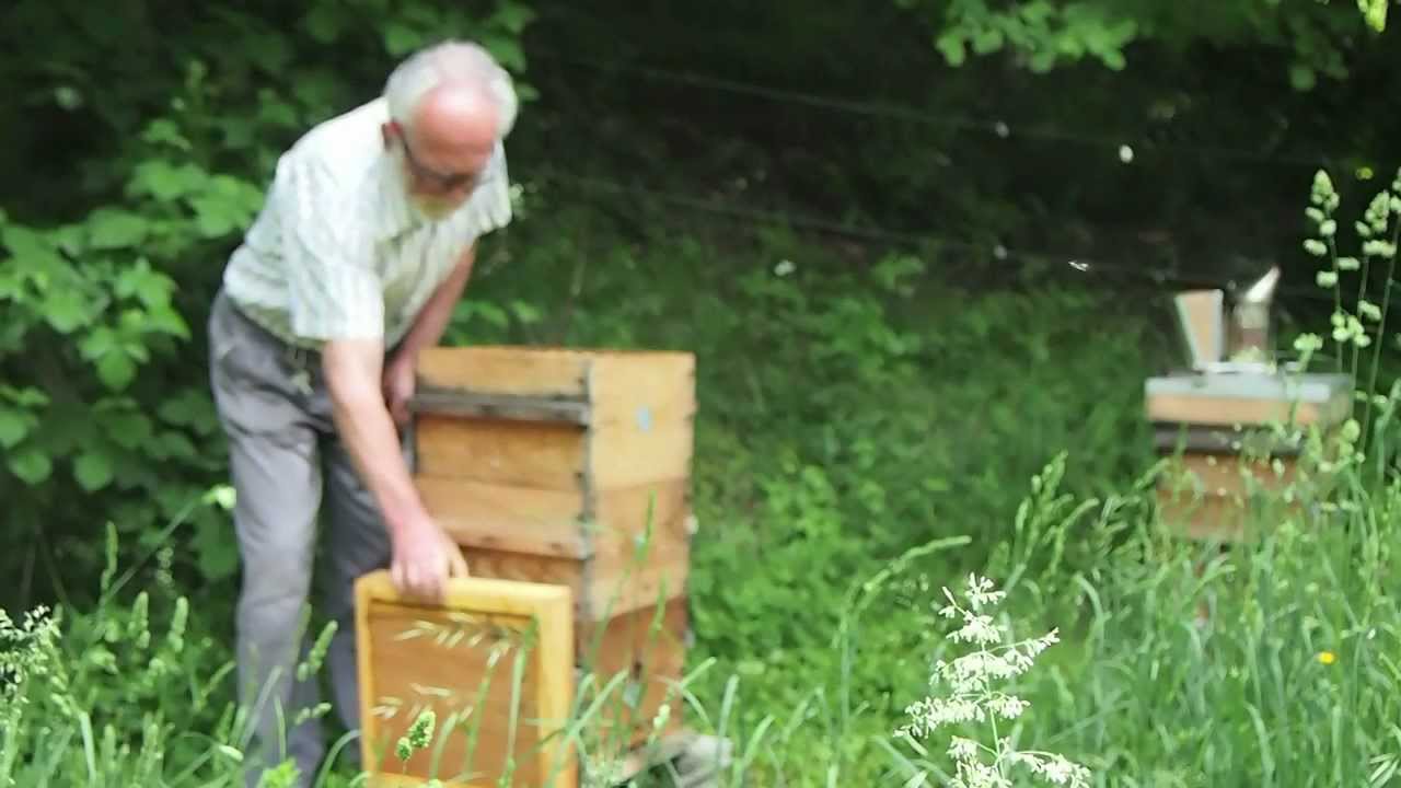 Warré - añadir elemento por arriba.mov