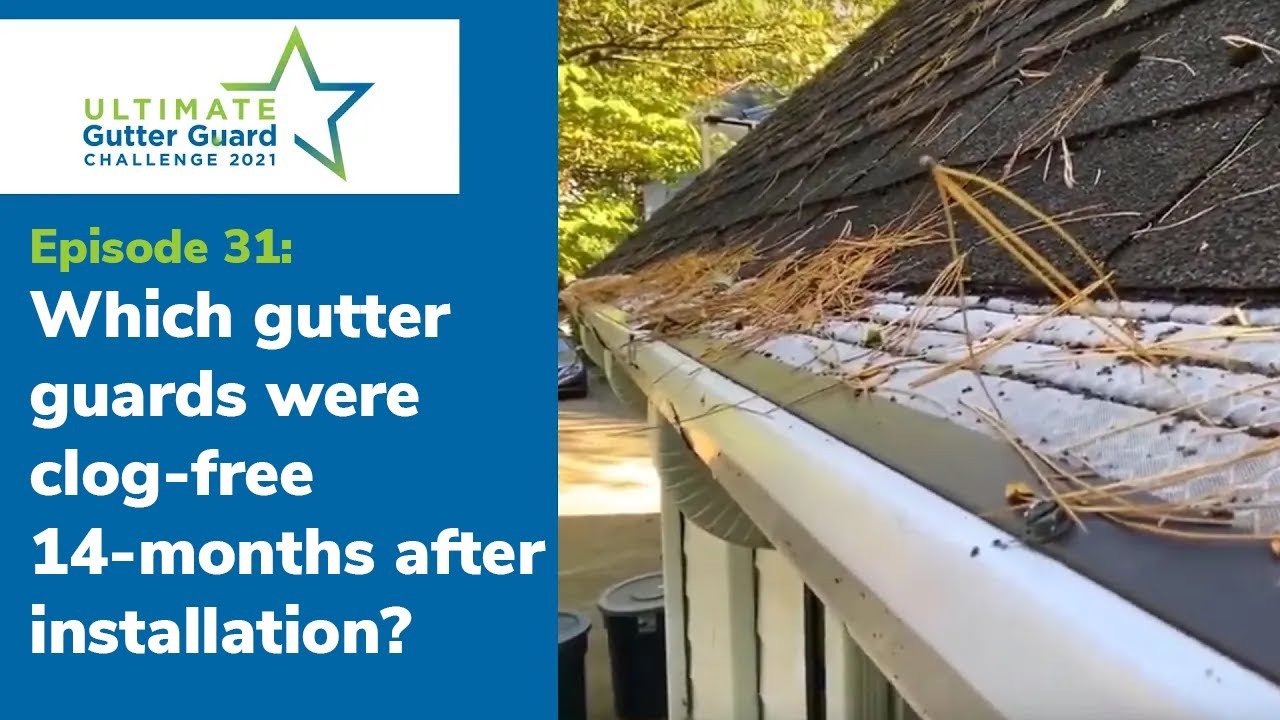 Which gutter guards were clog-free 14-months after installation? [S1 Ep 31]