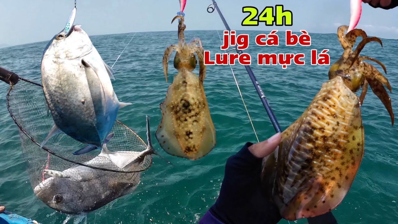 Trải nghiệm 24h câu cá biển, mực lá tại đảo hòn Ông và món cá bè kho ớt siêu ngon