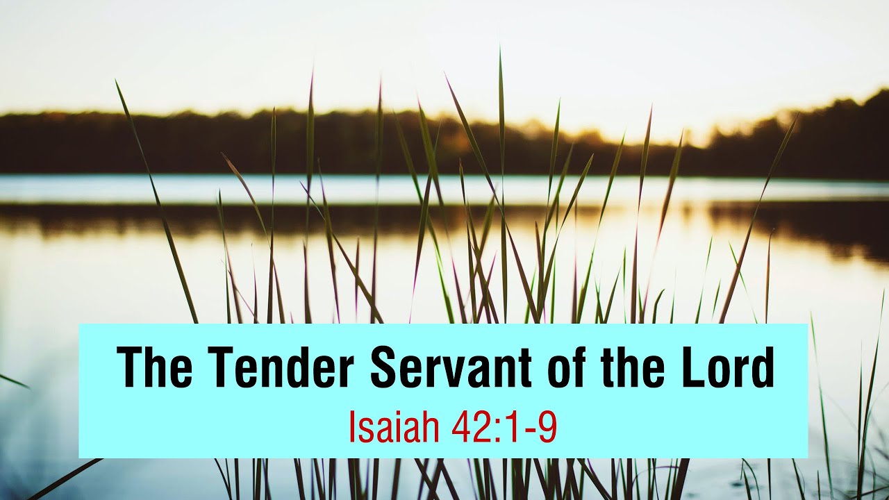 The Tender Servant of the Lord (Isaiah 42:1-9)