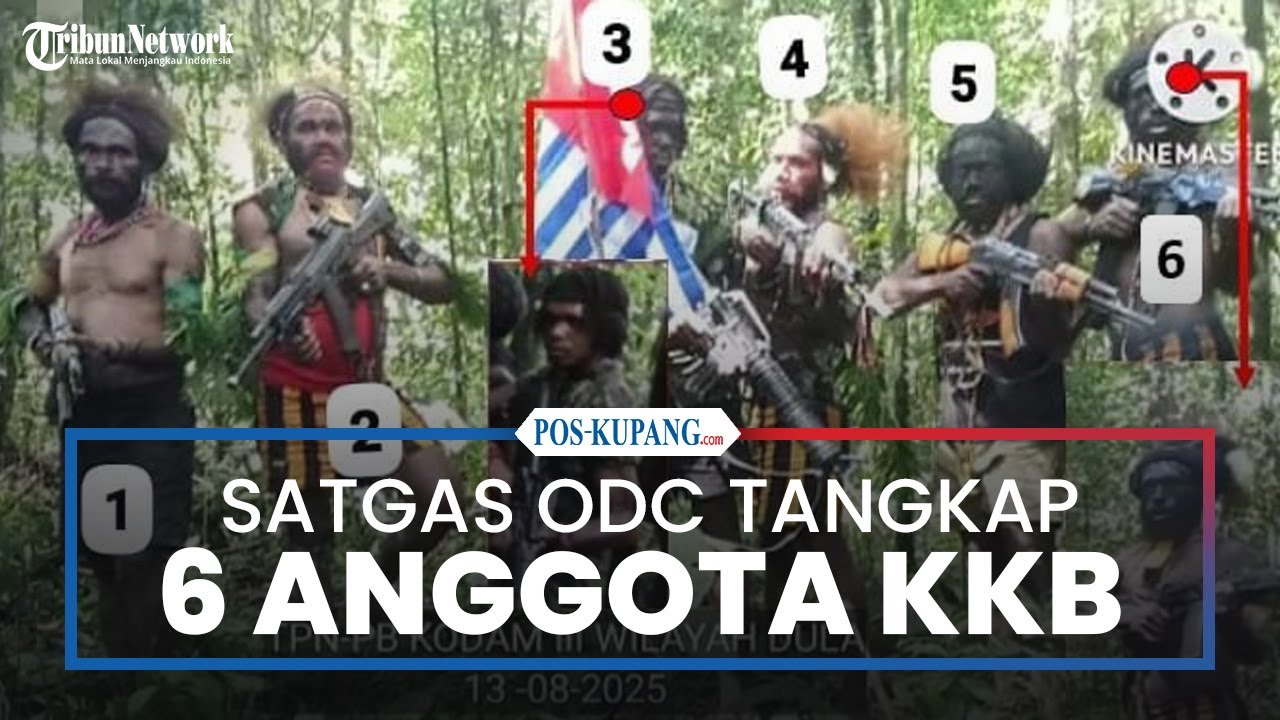 Satgas ODC Tangkap 6 Anggota KKB Penembak Dua Personel Brimob di Nabire
