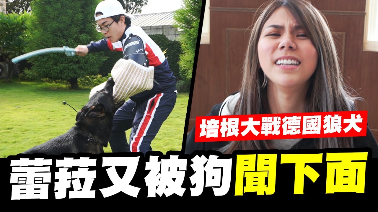 誰來稽查EP.8-培根大戰德國狼犬，之蕾菈又被狗聞下面│WACKYBOYS│反骨│