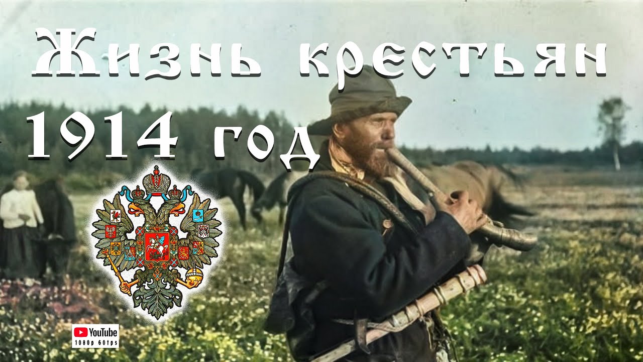Жизнь крестьян Петроградского уезда. 1914 год.