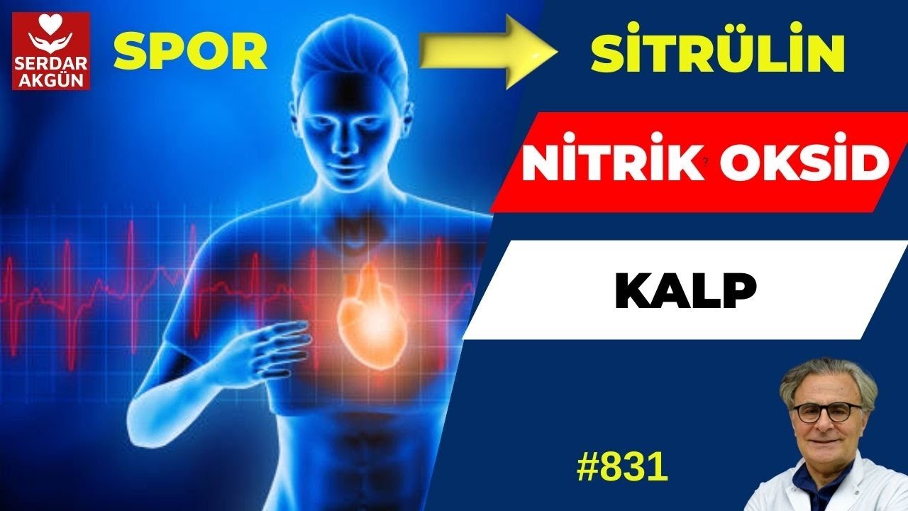 831. Sitrülin, Nitrik Oksit,  Spor, Kalp, Faydaları, Zararları, Prof.Dr.Serdar Akgün,Tıp Videoları