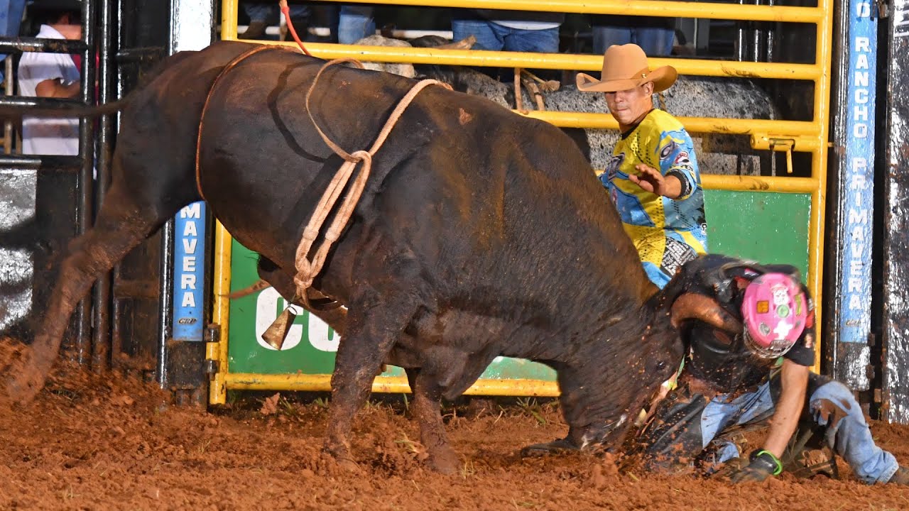 Radar CRP 2023 - QUINTA COMPLETO (1ª TURMA)