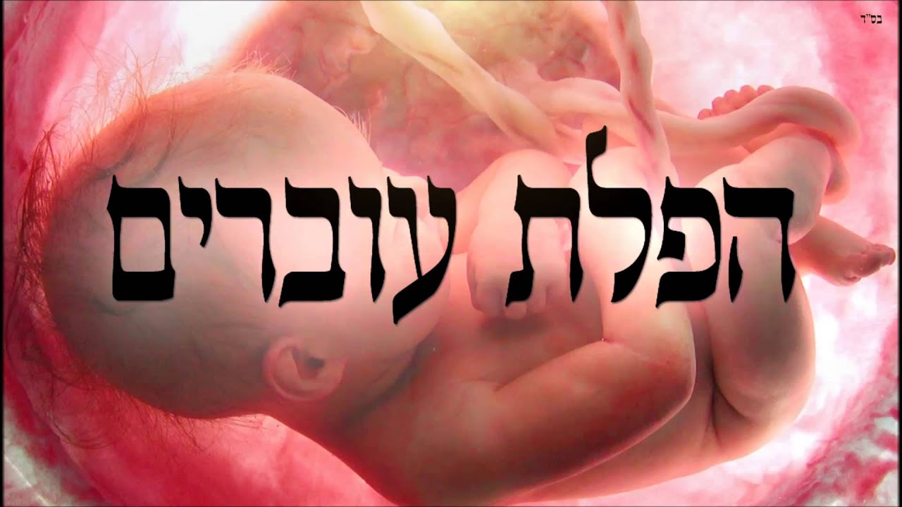 הפלת עוברים - שיעור תורה בספר הזהר הקדוש מפי הרב יצחק כהן שליט