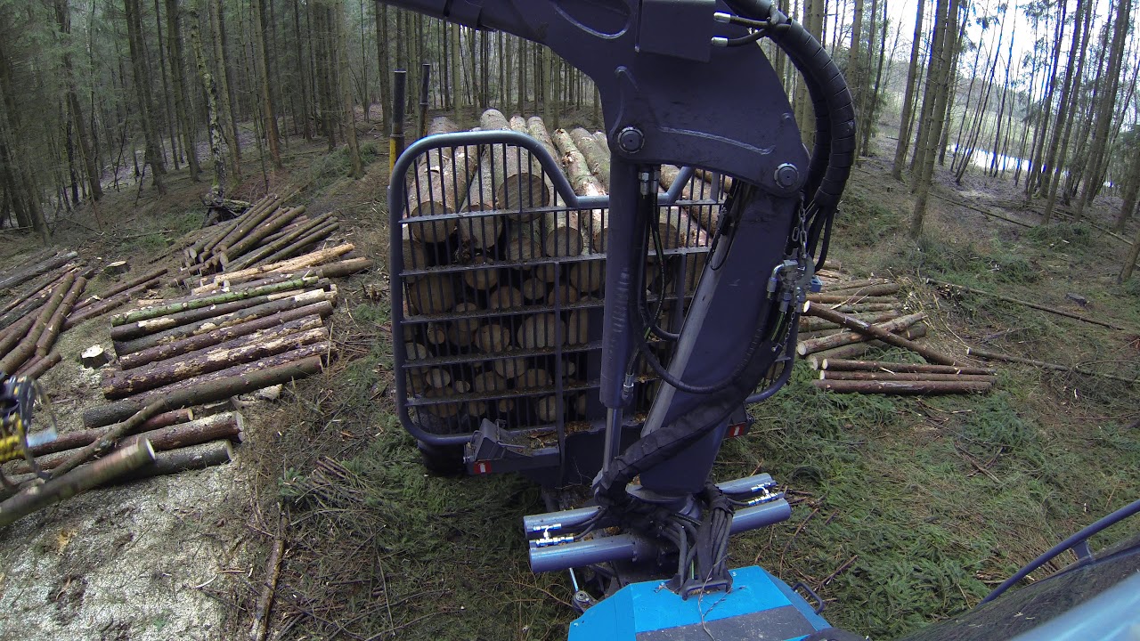 Rottne F11d vs. Borkenkäfer