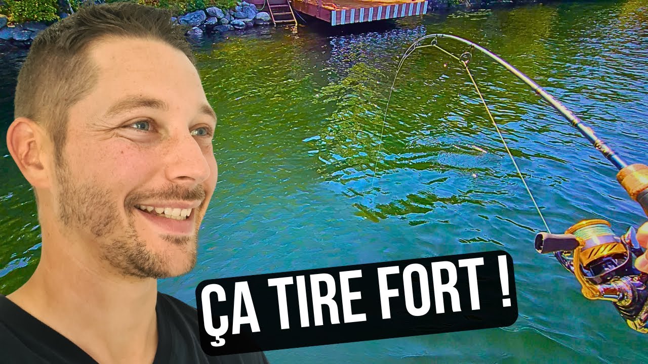 Pêche du Bass au Spinnerbait : Leurre FACILE pour Débutant [Tuto & Action]