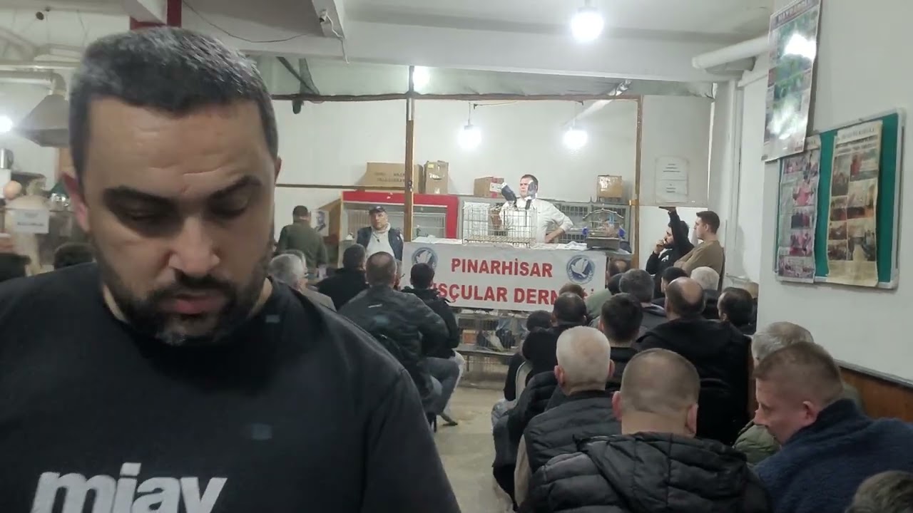 İlk defa kuş mezatına katıldım pınarhisar kuş mezatı
