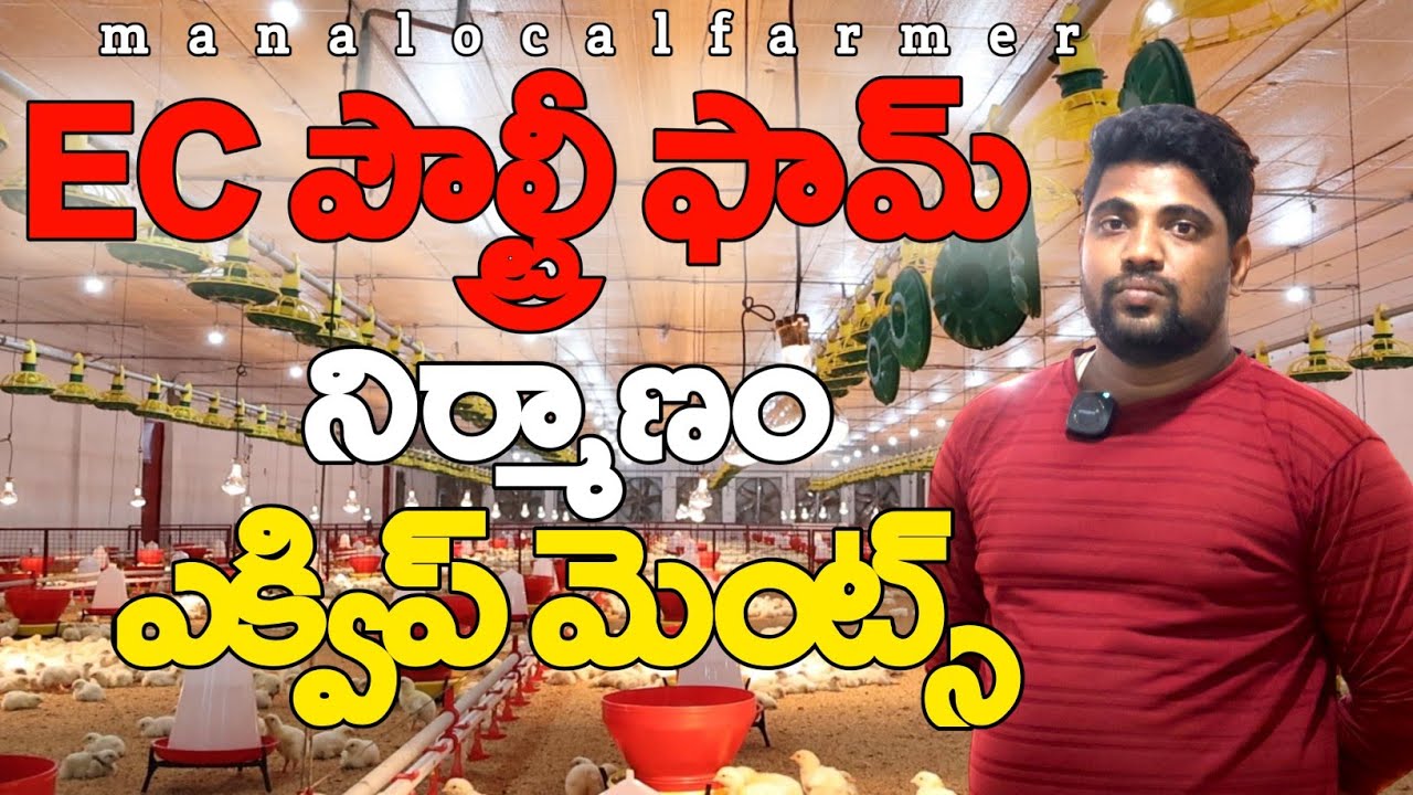 ఈసీ ఫౌల్ట్రీ ఫాం టెక్నిక‌ల్ వ‌ర్క్, ఇన్‌స్టాలెష‌న్‌ | EC Poultry farm insatall | #ECpoultrytelugu