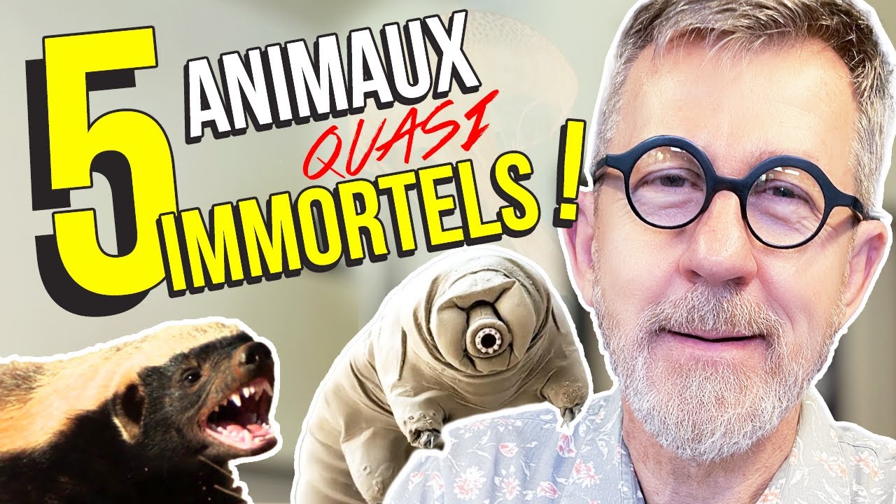 5 animaux quasi immortels | TOP 5