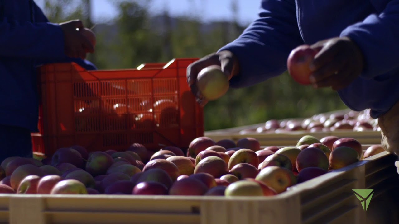 Mpact Plastic Containers corporate video