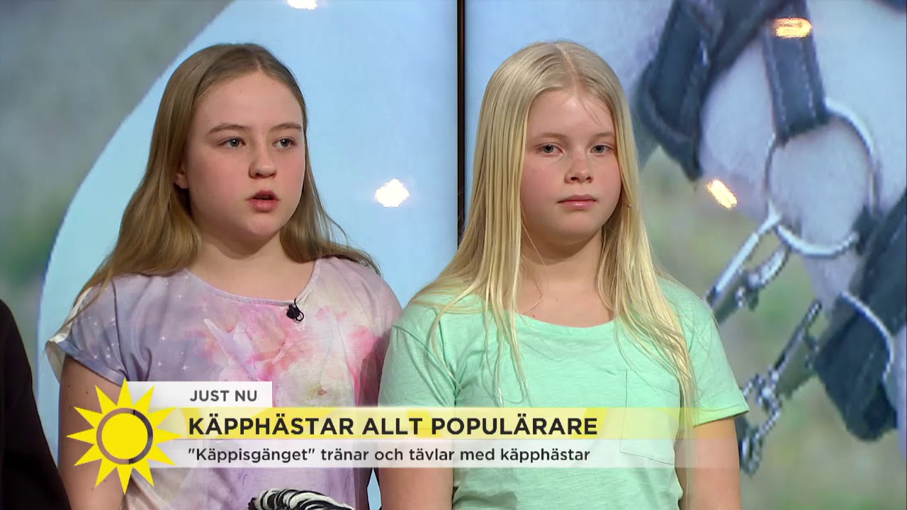 Käpphästar allt populärare 