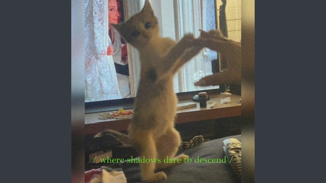 where shadows dare to descend