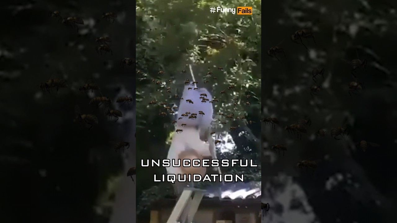 Funny 😂 Video 📸 Best Fails People 🙆🐝🤦Compilation #Funny Fails