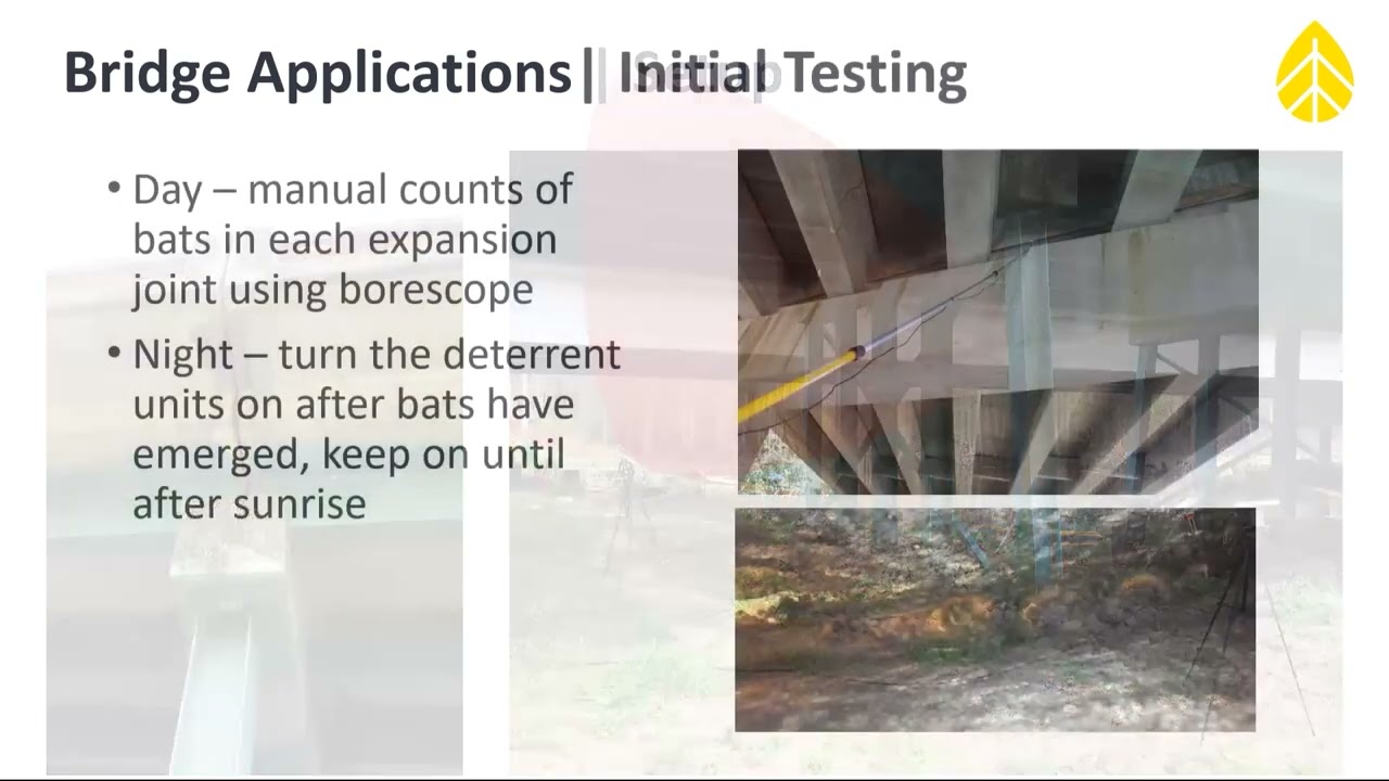 Webinar: Beyond the Turbine: Non-Wind Applications of NRG’s Bat Deterrent System