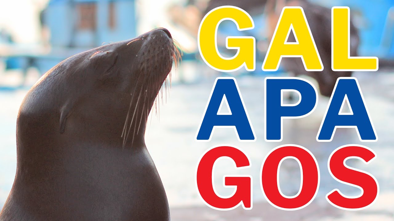 The Sea Lion King Presents... The Galapagos Islands: A Hooman Tale