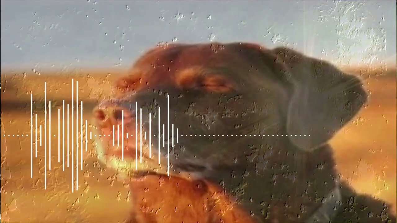 Yem @ Lo-fi fest (OURL2)