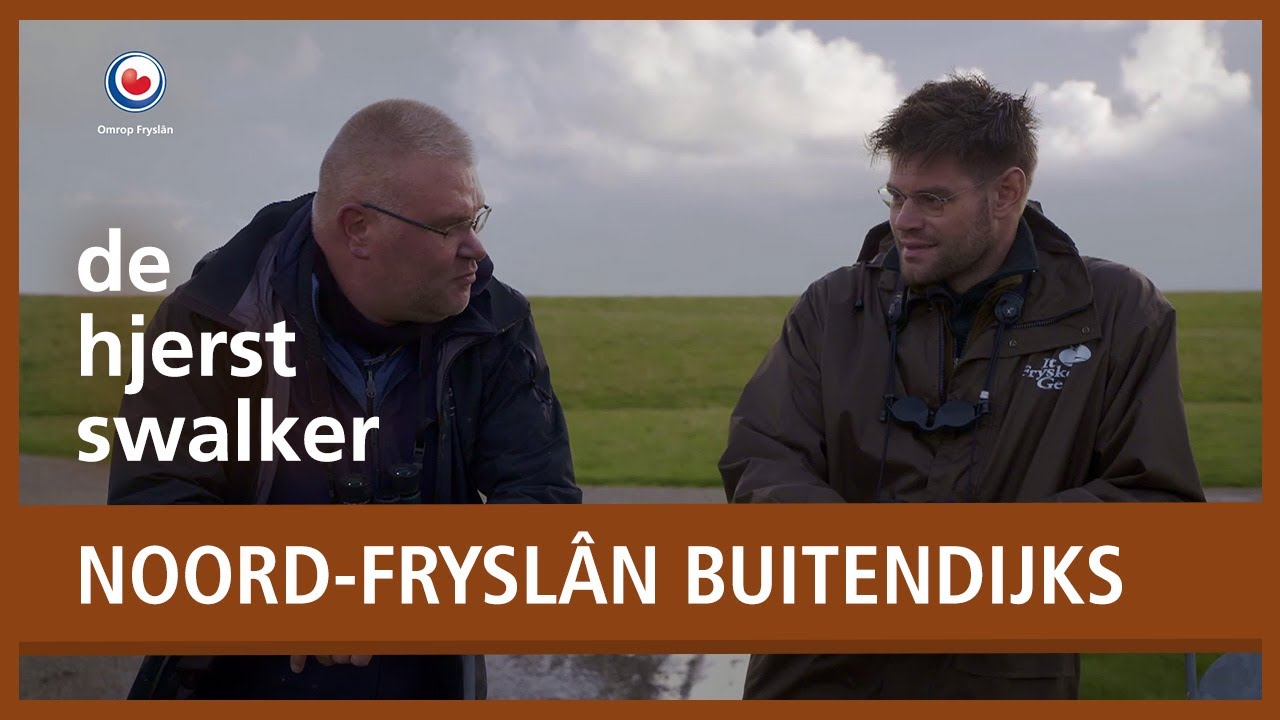 HJERSTSWALKER - De natuur van Noord-Fryslân buitendijks