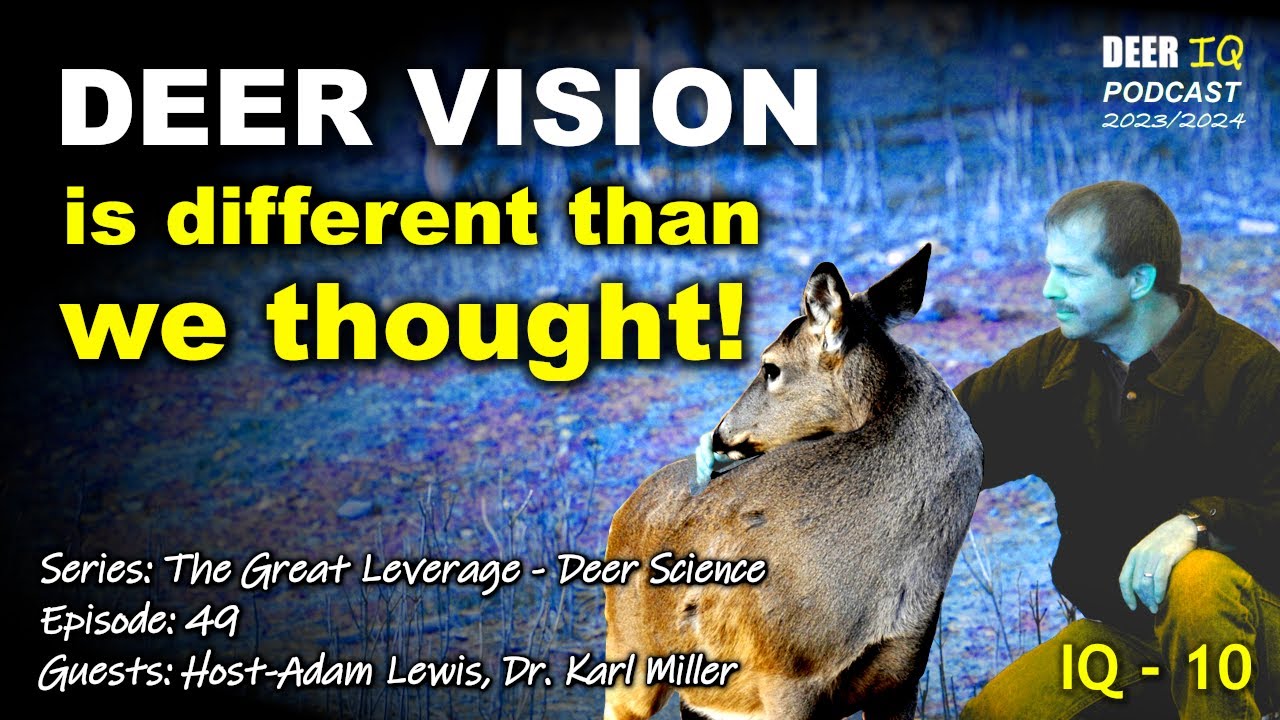 Deer Vision отличается от того, что мы думали! Серия: Deer Science с гостем доктором Карлом Милле...