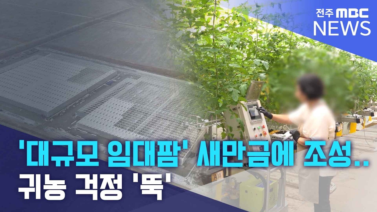 '대규모 임대팜' 새만금에 조성.. 귀농 걱정 '뚝' | 전주MBC 260224 방송