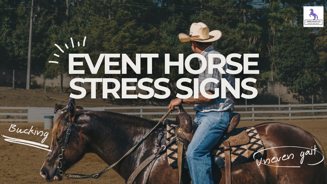 Event Horse Stress Signs Explained