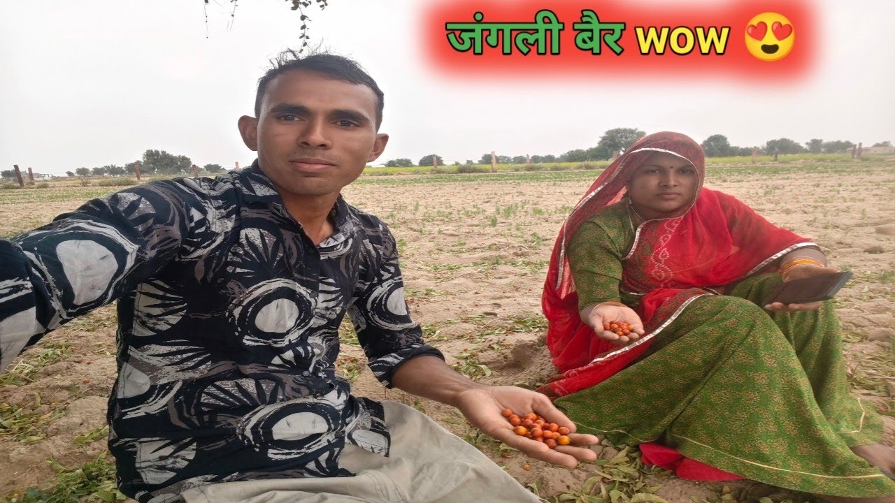 इतनी ठंडी हवा सारे बेर नीचे गिरते || मैं और वाइफ दोनों लगे || Marwadi Village Lifestyle Vlog 