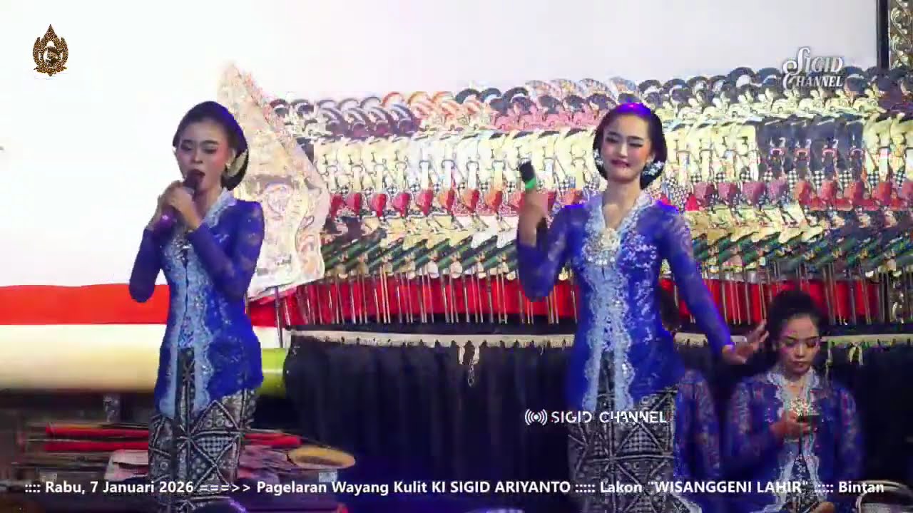 LIVE WAYANG KULIT DALANG KI SIGID ARIYANTO - BT LINTANG KAIRO