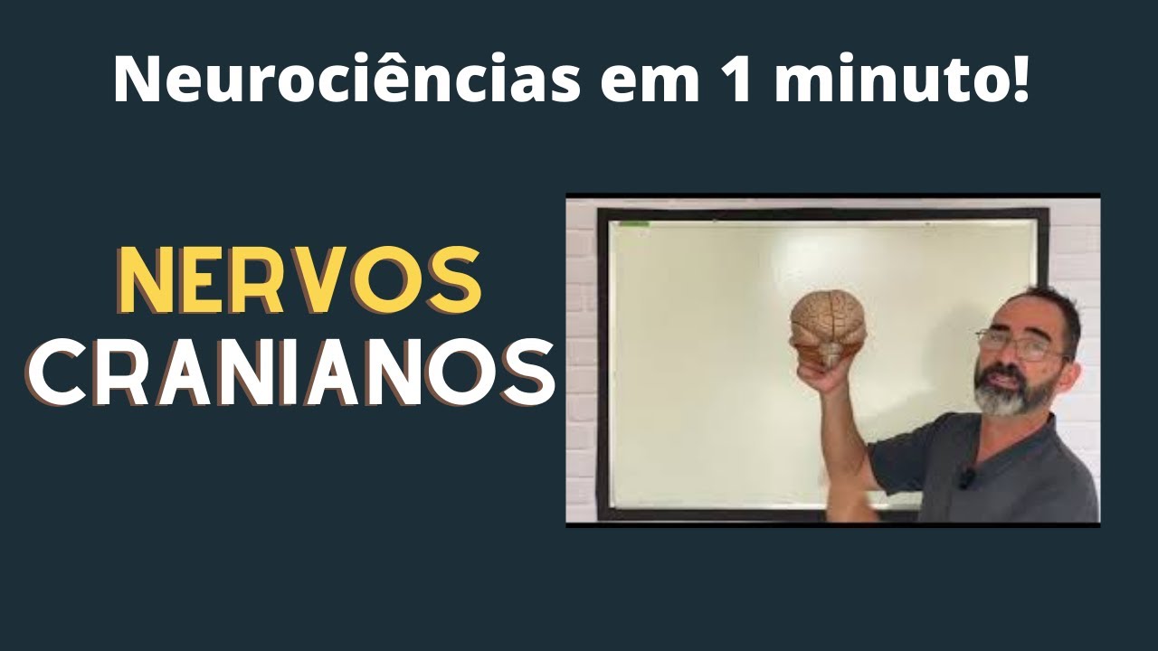 O QUE VOC&Ecirc; SABE SOBRE NERVOS CRANIANOS ?