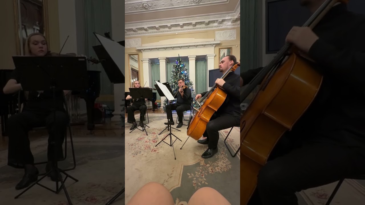 И.Пахельбель(1653-1706)Канон ре мажор. #classicalmusic #livemusical #quartet #concert #pahelbel